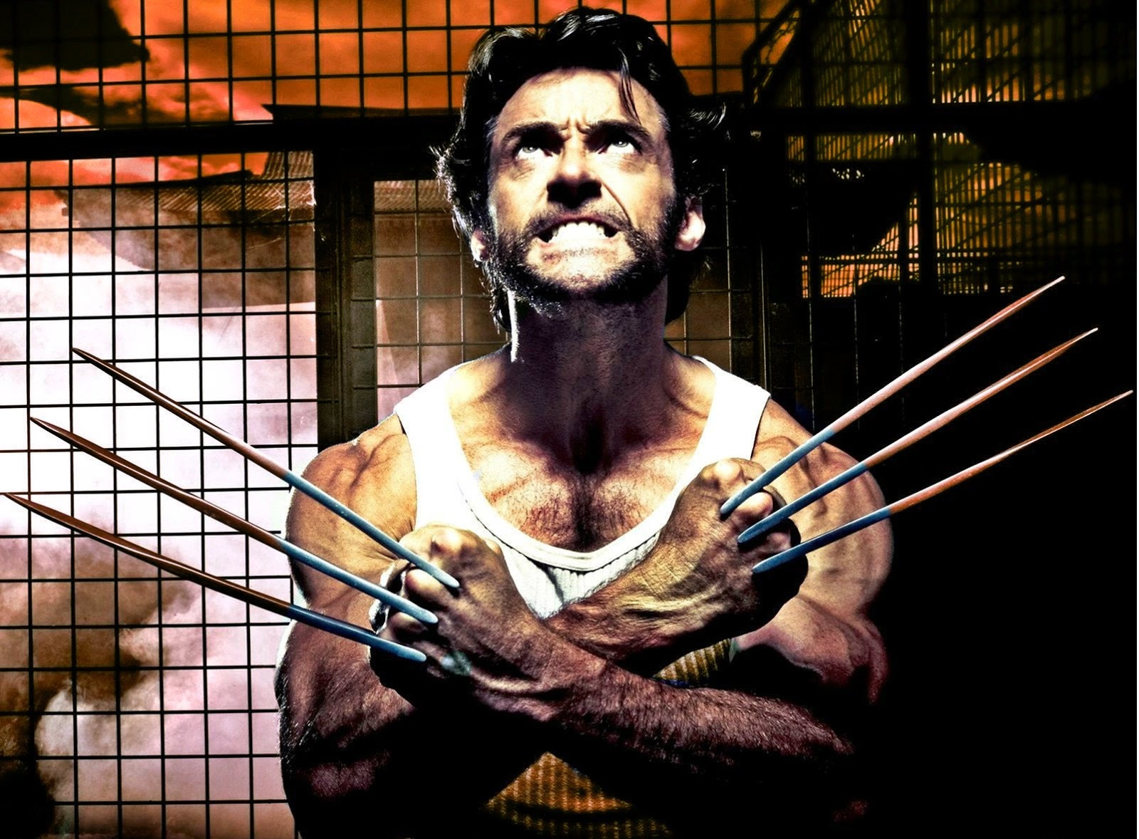 Free download HollyWood Stars Hugh Jackman Wolverine Movie New HD