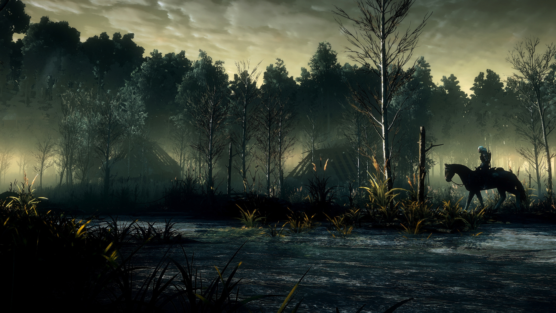 The Witcher Wild Hunt 8k Laptop Full HD 1080p 4k Wallpaper Image