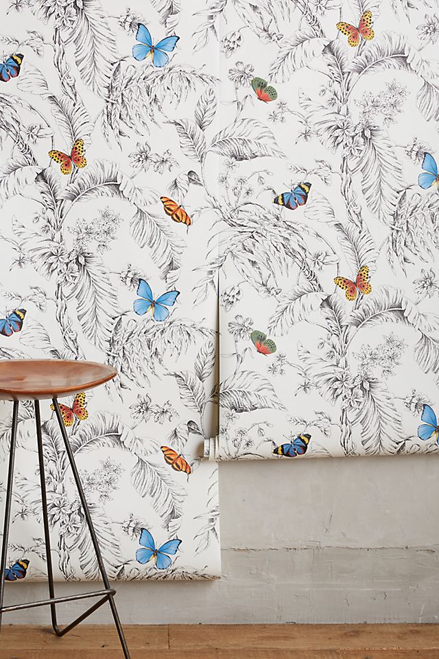 Papillon Wallpaper Anthroliving