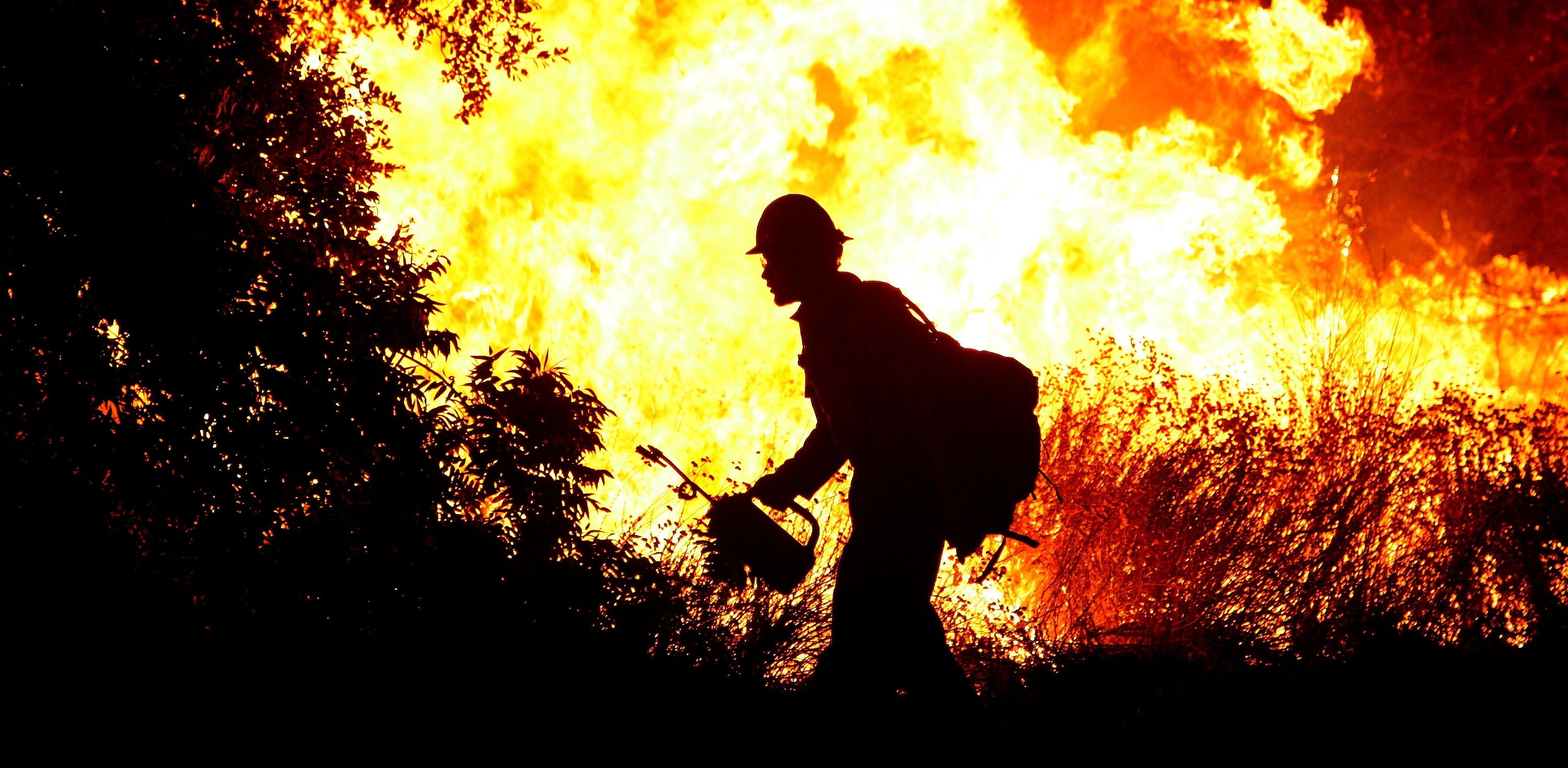Photography Fire Forest Firemen Fireman Wallpaper