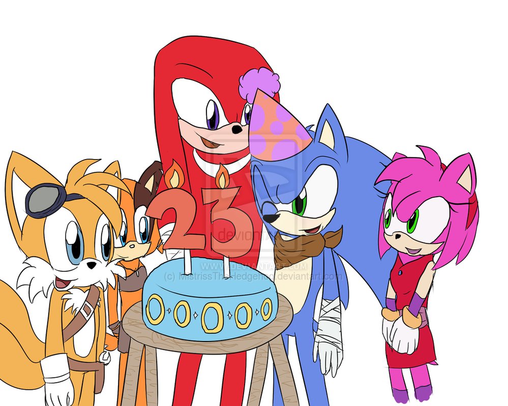 Happy 23rd BirtHDay Sonic Boom Style By Mistrissthehedgehog