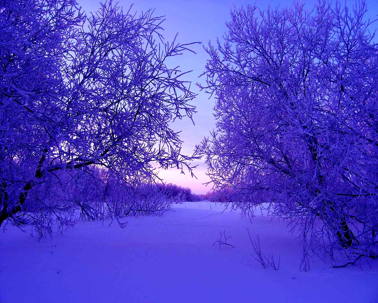 Purple Winter Landscape Wallpaper