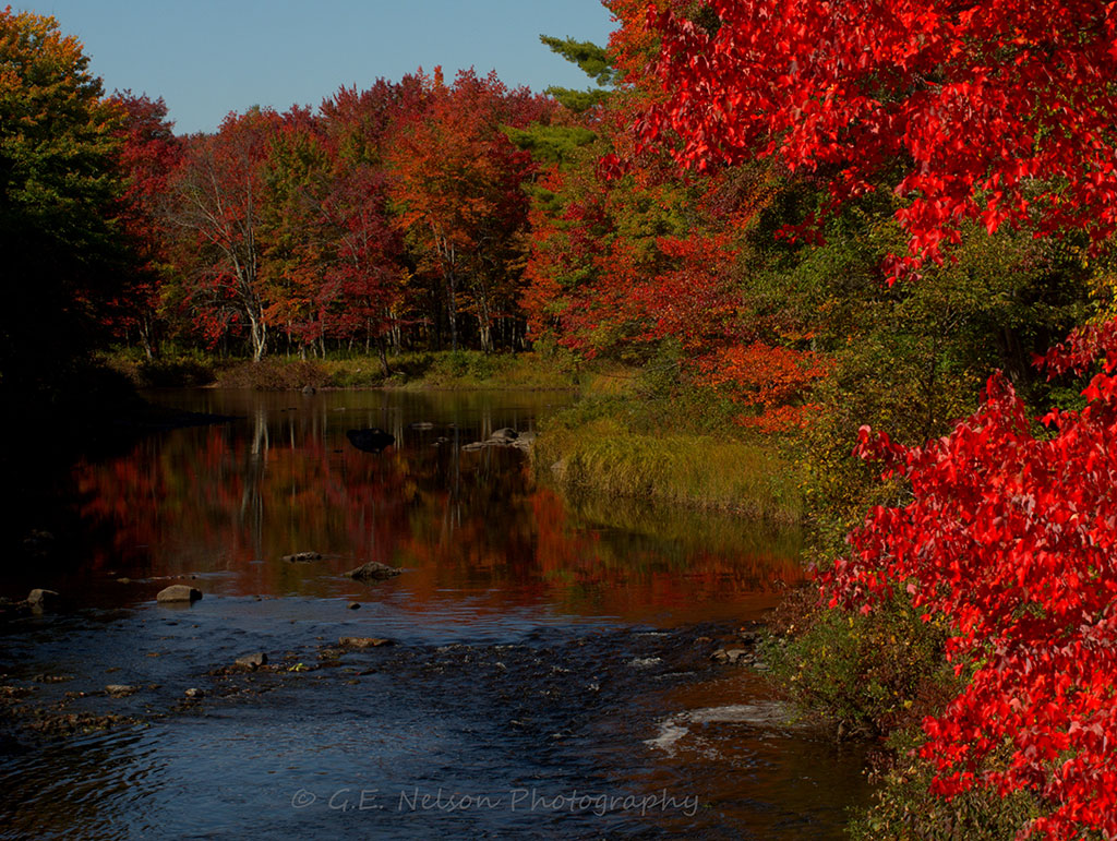 Maine Foliage Photo Gallery