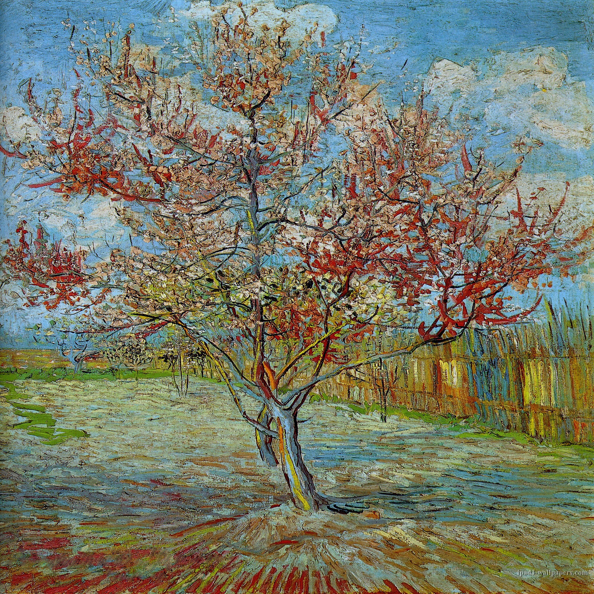 Vincent Van Gogh Wallpapers 59 images