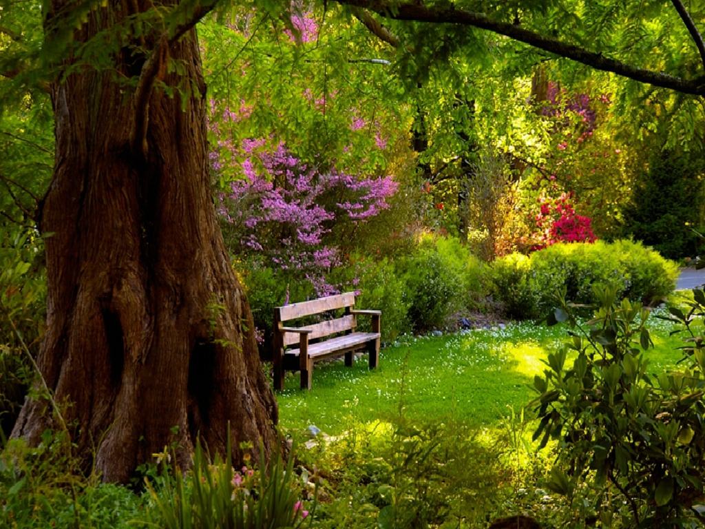 Sitting Bench Spring Meadow Wallpaper HD Background