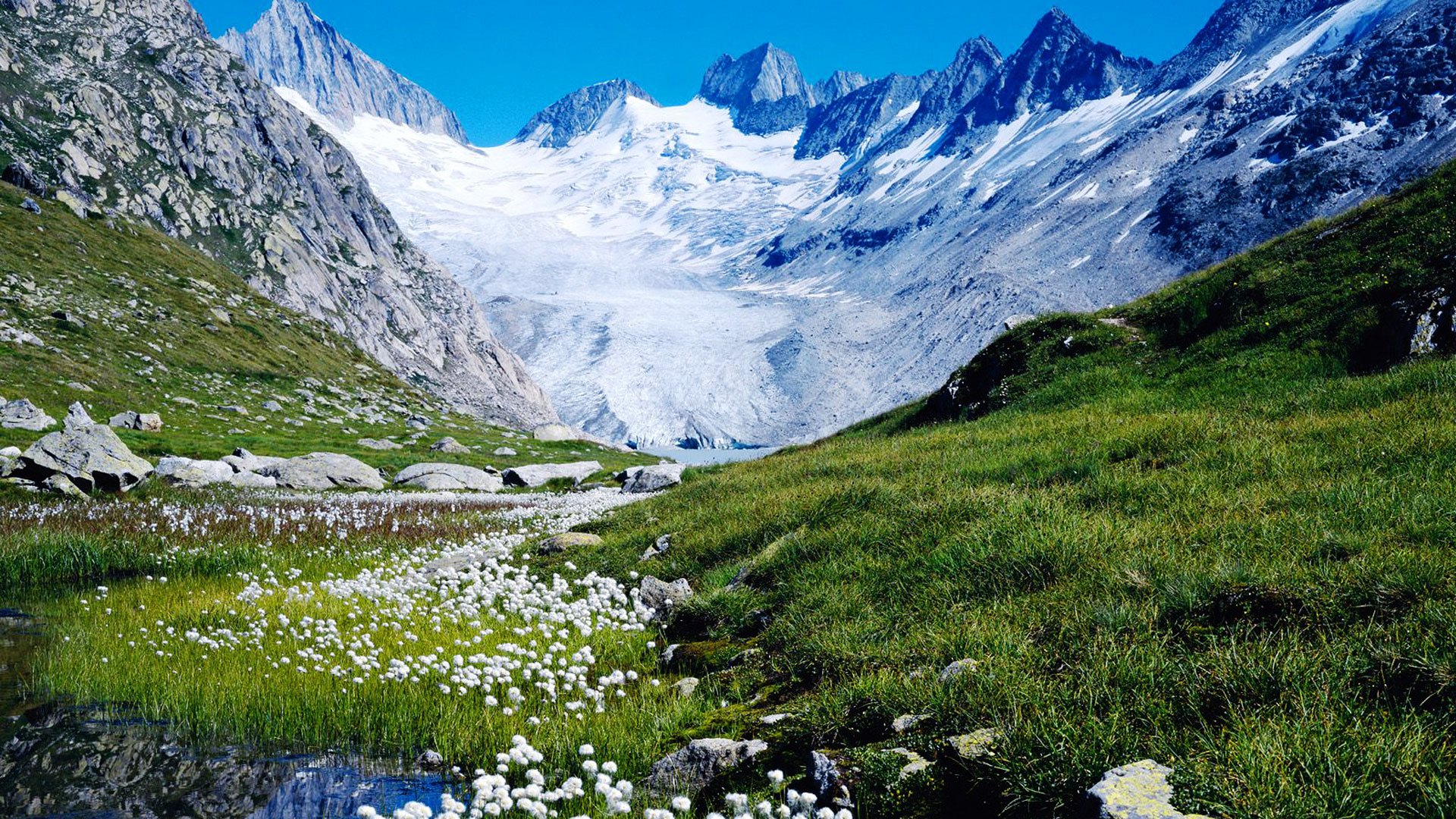 Beautiful Nature In Switzerland Wallpaper Live HD Hq