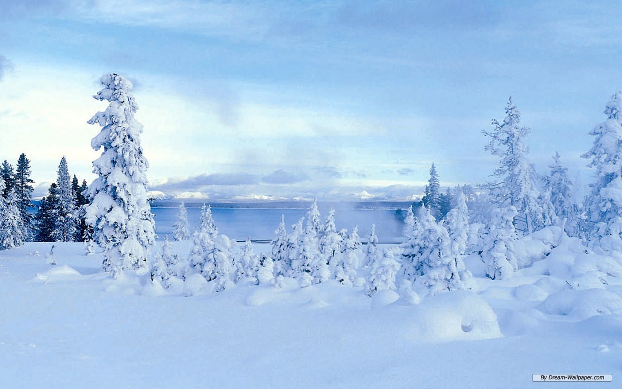 Winter Wonderland Wallpaper HD In Nature Imageci