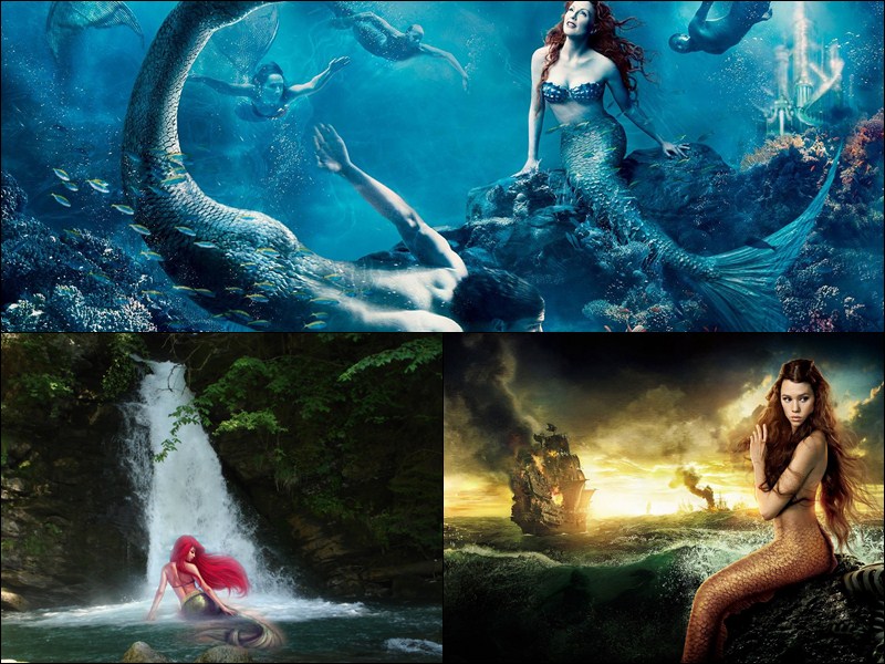 Beautiful Mermaids Animated Wallpaper Desktopanimated