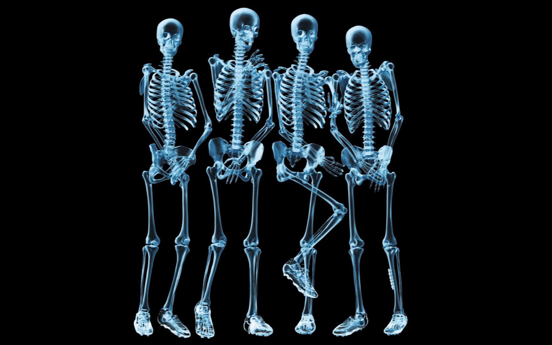Funny X Ray Pictures loopelecom