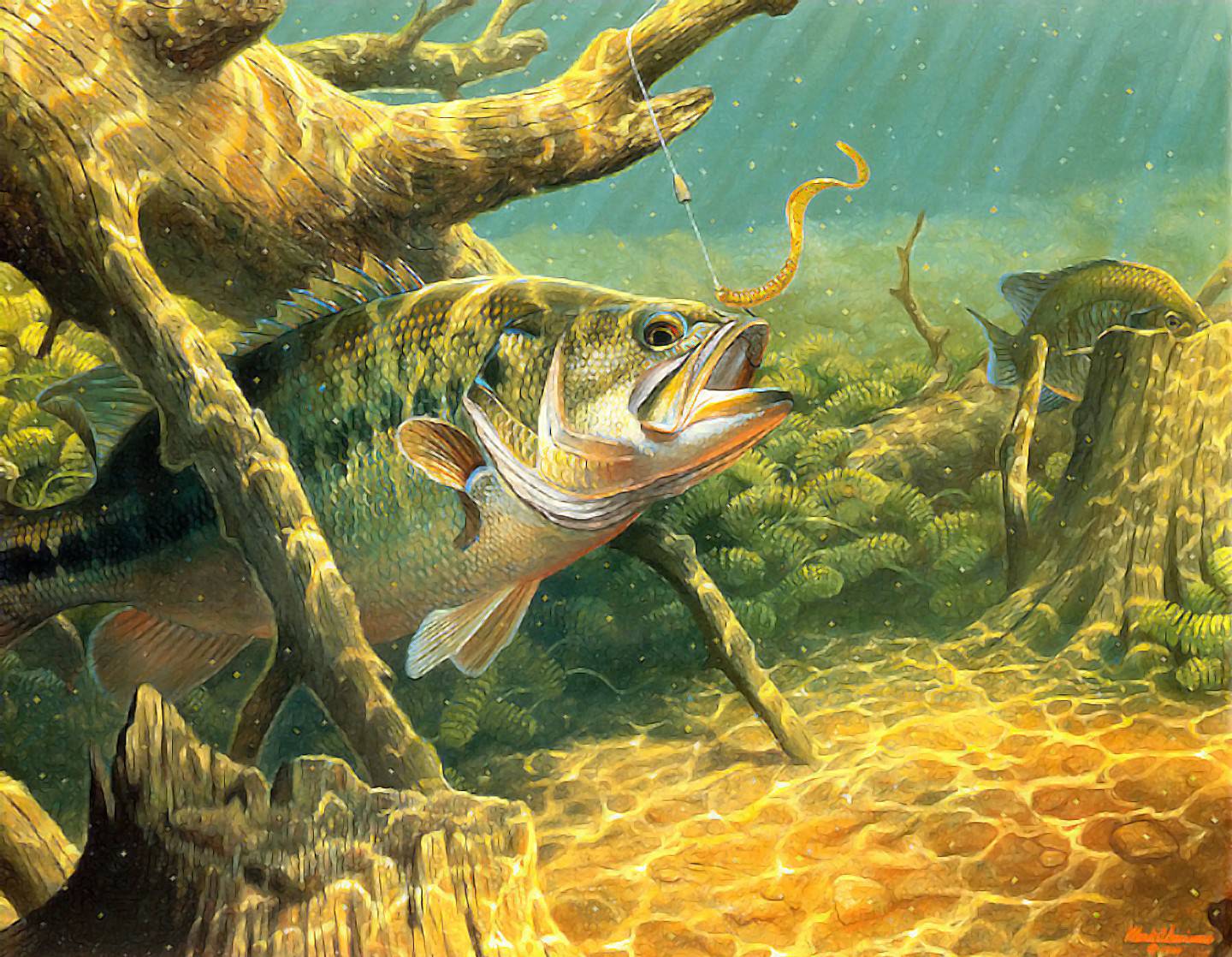 Fish R Bass Fishing Wallpaper