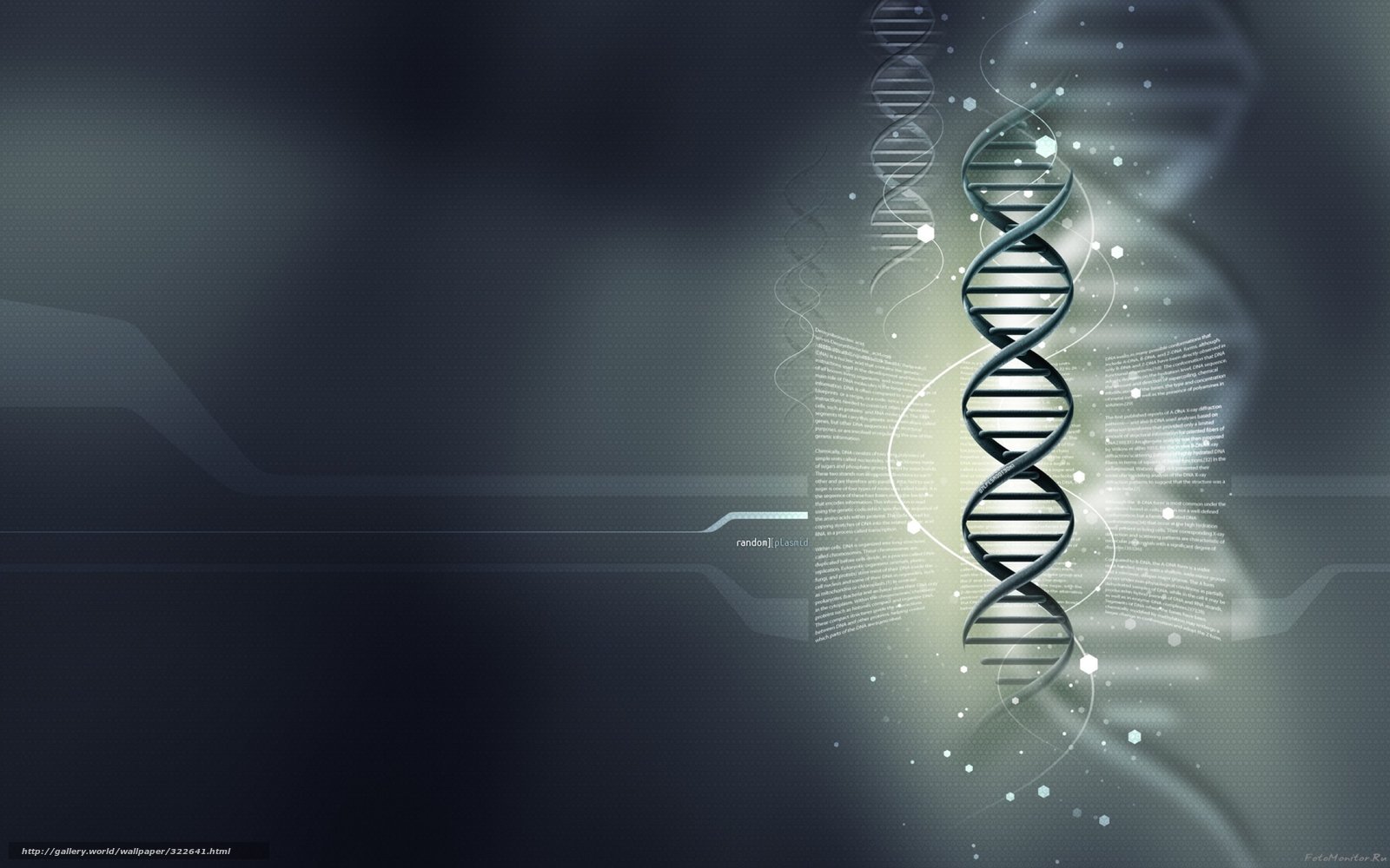 Download wallpaper gray background DNA medical wallpaper genes free