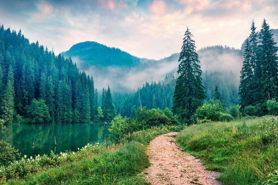 Amazon Lacu Rosu Lake Harghita Romania Misty Morning