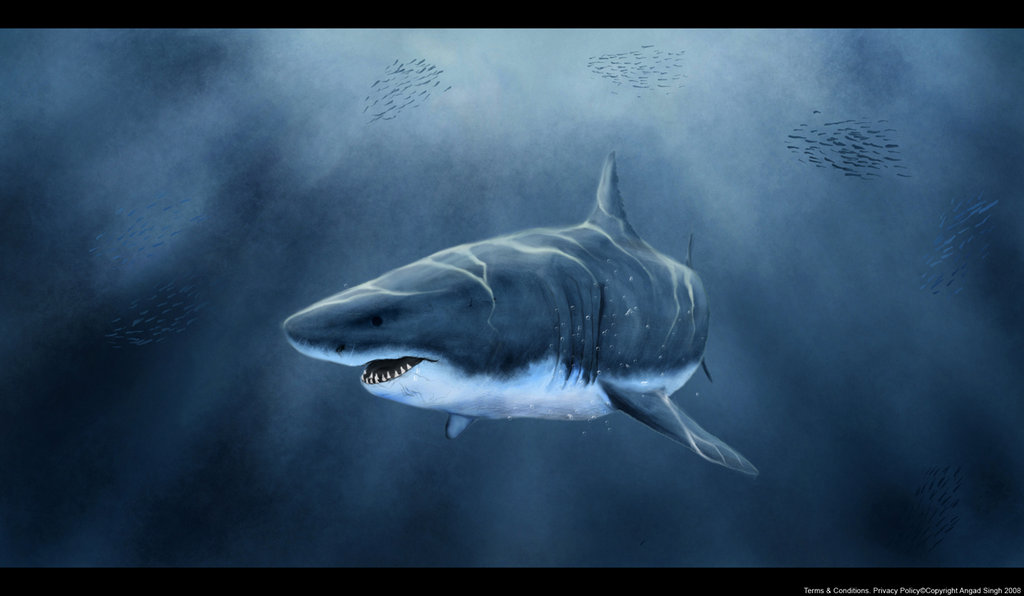 Great White Shark By Frozenapocalypse