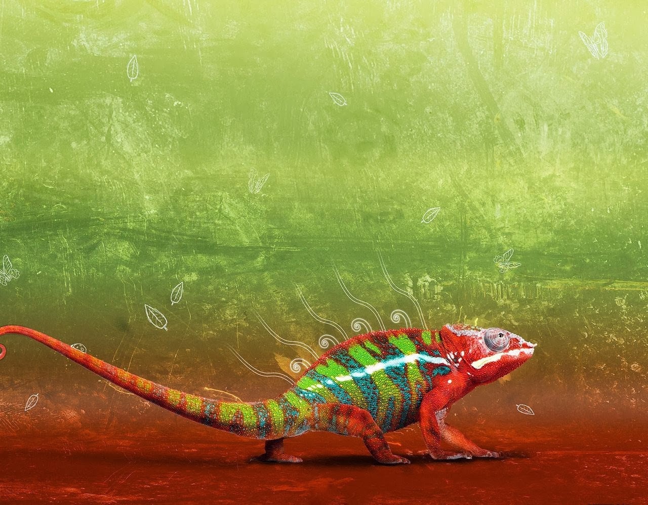Beautiful Lizard Wallpaper HD