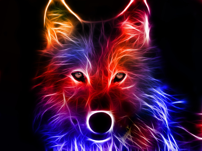 Fractal Wolf Abstract Fantasy HD Desktop Wallpaper