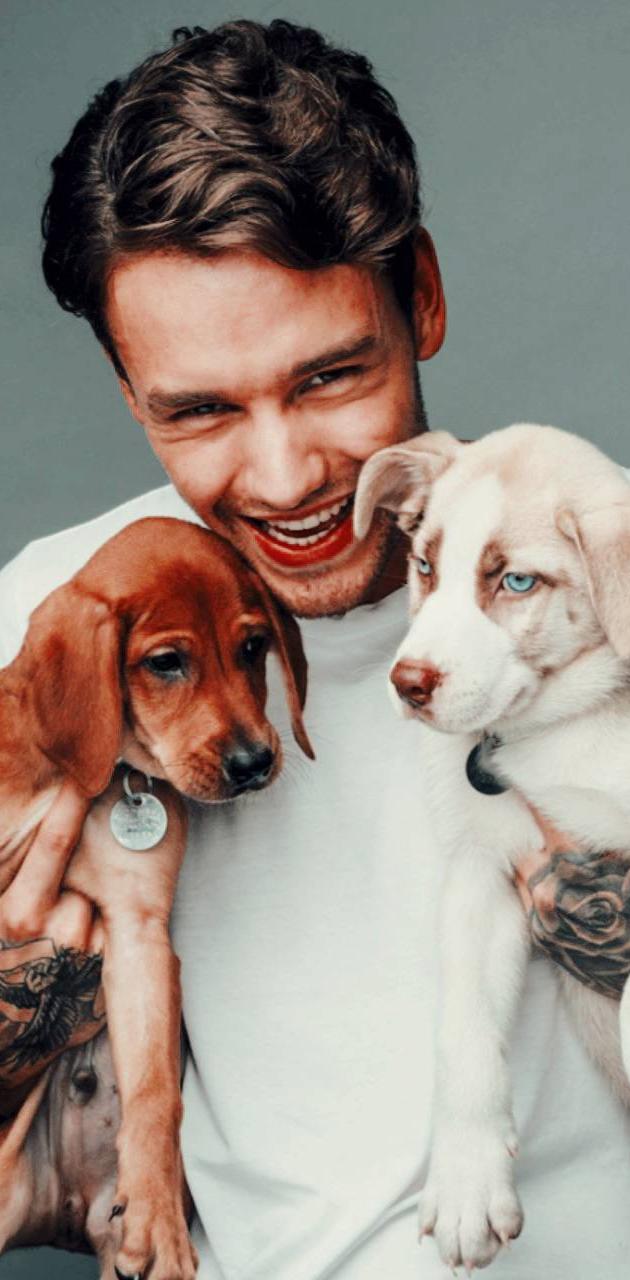Liam Payne Wallpaper