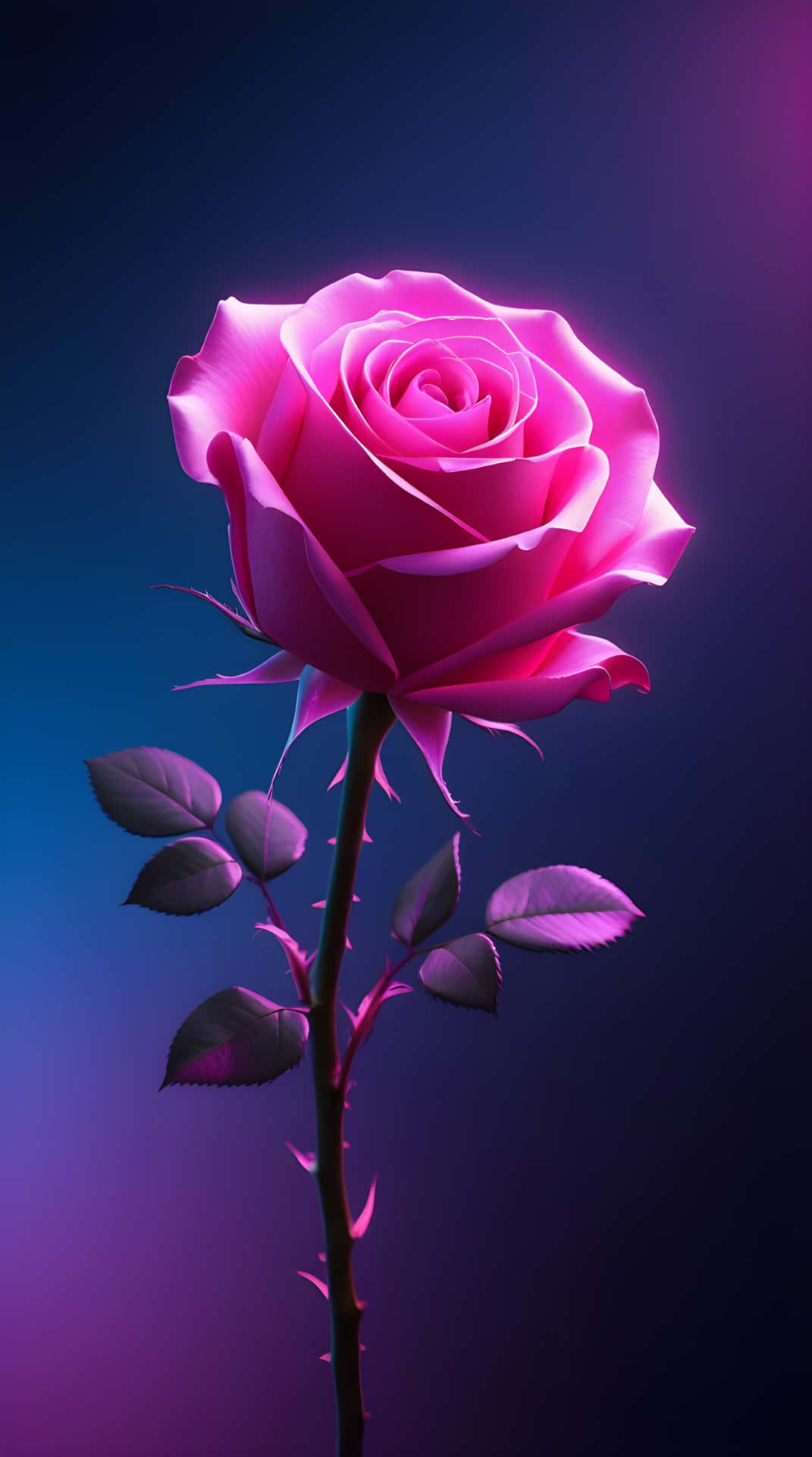 Cute Rose Wallpaper
