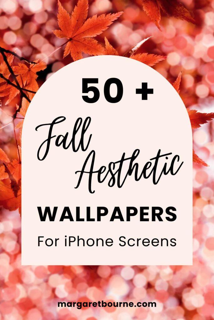 Fall Wallpaper For iPhone Autumn Aesthetic