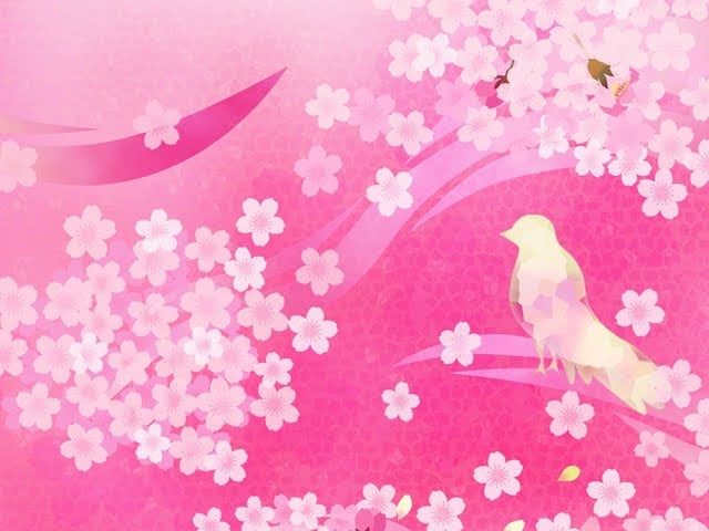 Pink Cherry Blossom and Bird Sweet Floral Background Wallpaper
