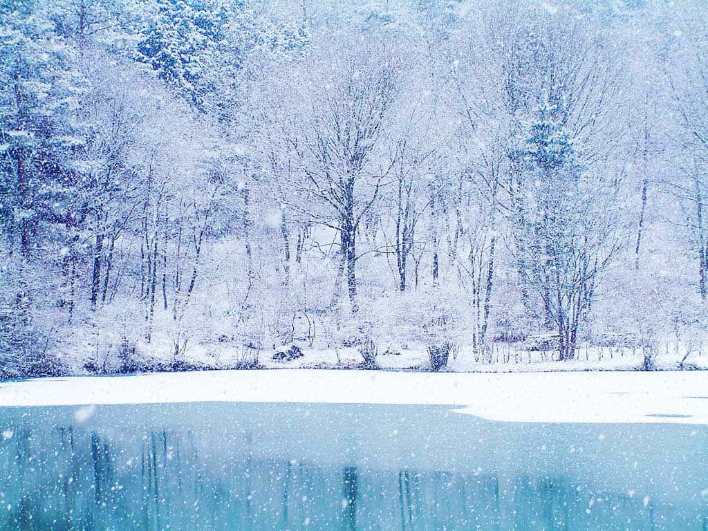 Winter Snow Desktop Wallpaper