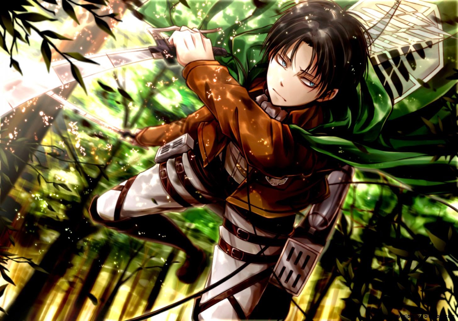 Attack on Titan HD Wallpapers 1456x1020