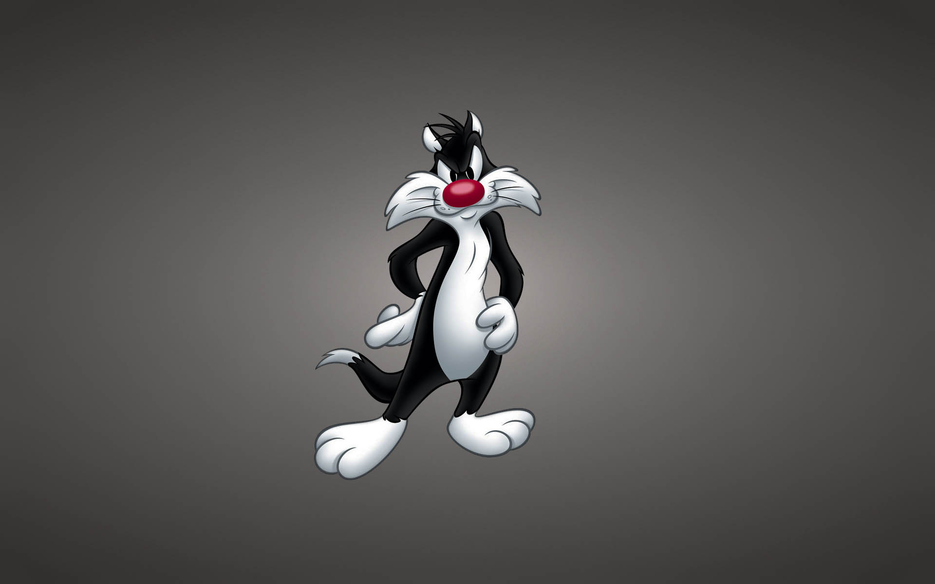 Looney Tunes Wallpaper Wallpaperexpert Journal