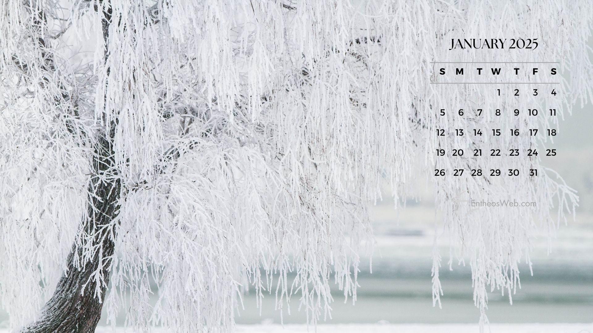 A frosty winter scene with a snow-covered tree and a calendar for January 2025