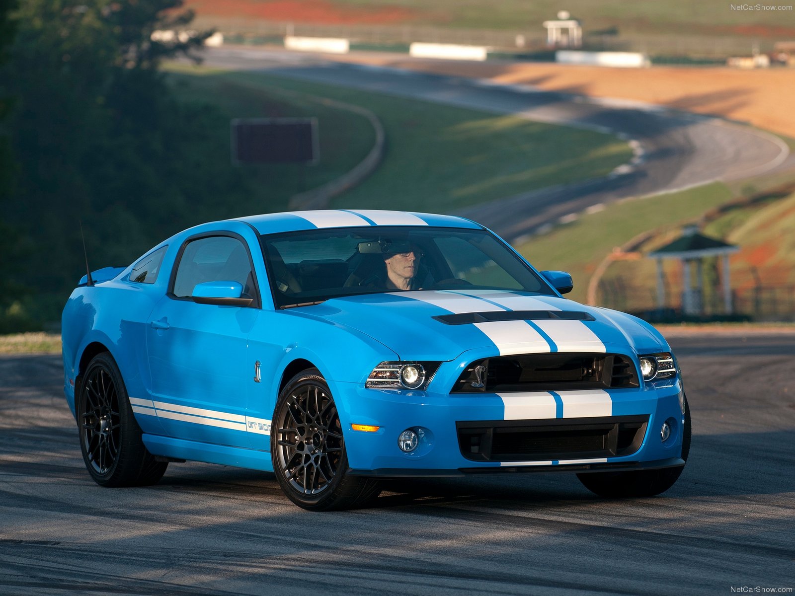 Ford Mustang Shelby Gt500 Wallpaper