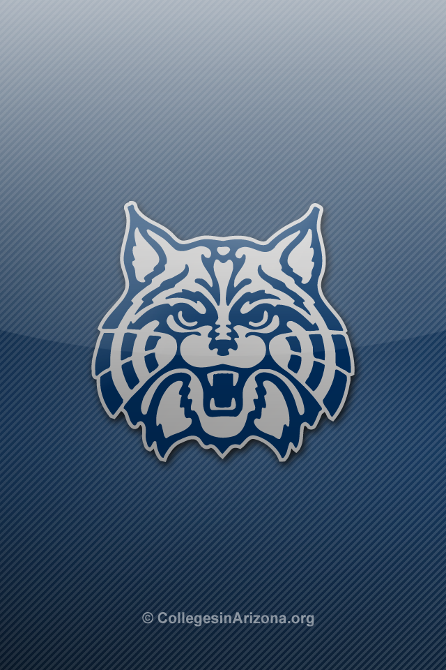 University of Arizona Wildcats iPhone Wallpapers   Colleges in Arizona 640x960