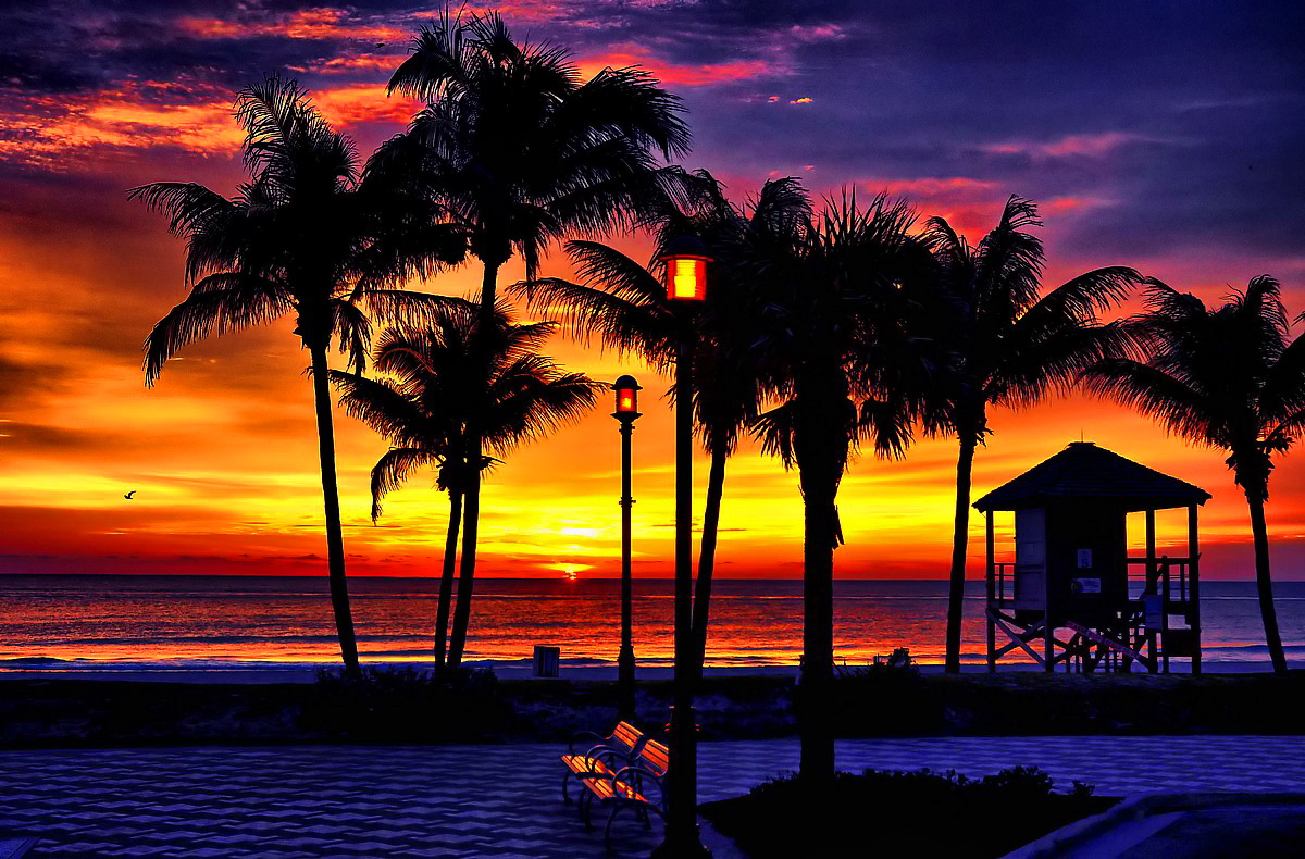 Tropical sunset Vektorgrafik   ForWallpapercom