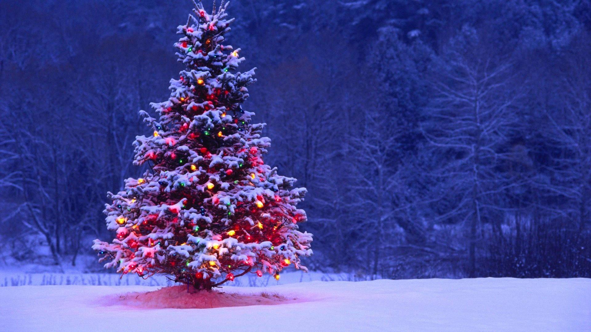 Christmas Tree Winter Landscape Wallpaper