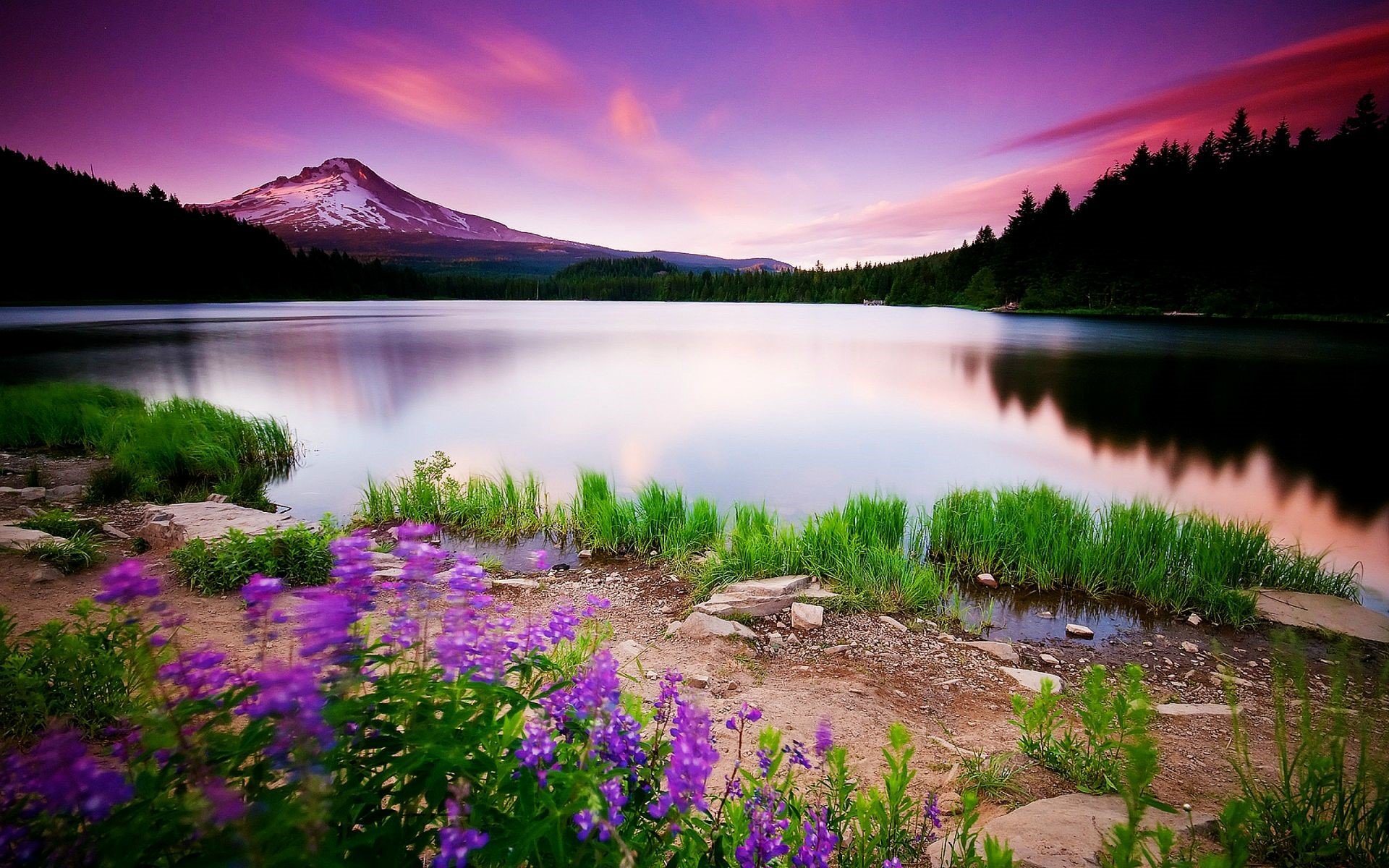 1080p High Definition Wallpaper For Desktop