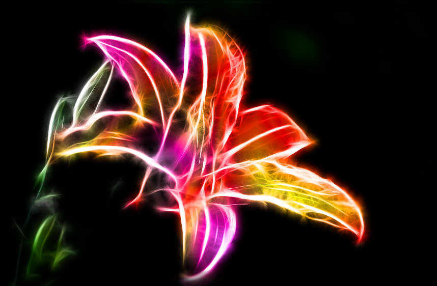 Fractal Tiger Lily By Minimoo64