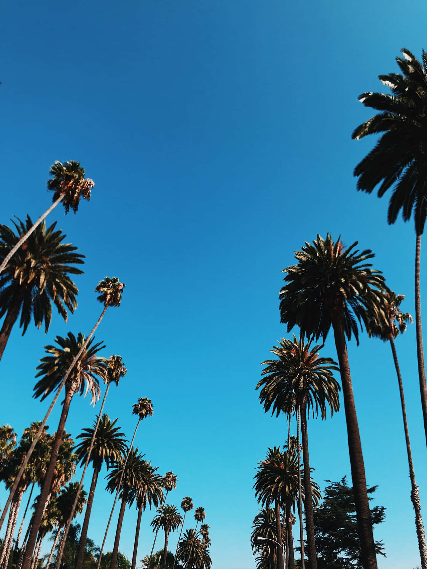 A California Summer Vacation Wallpaper