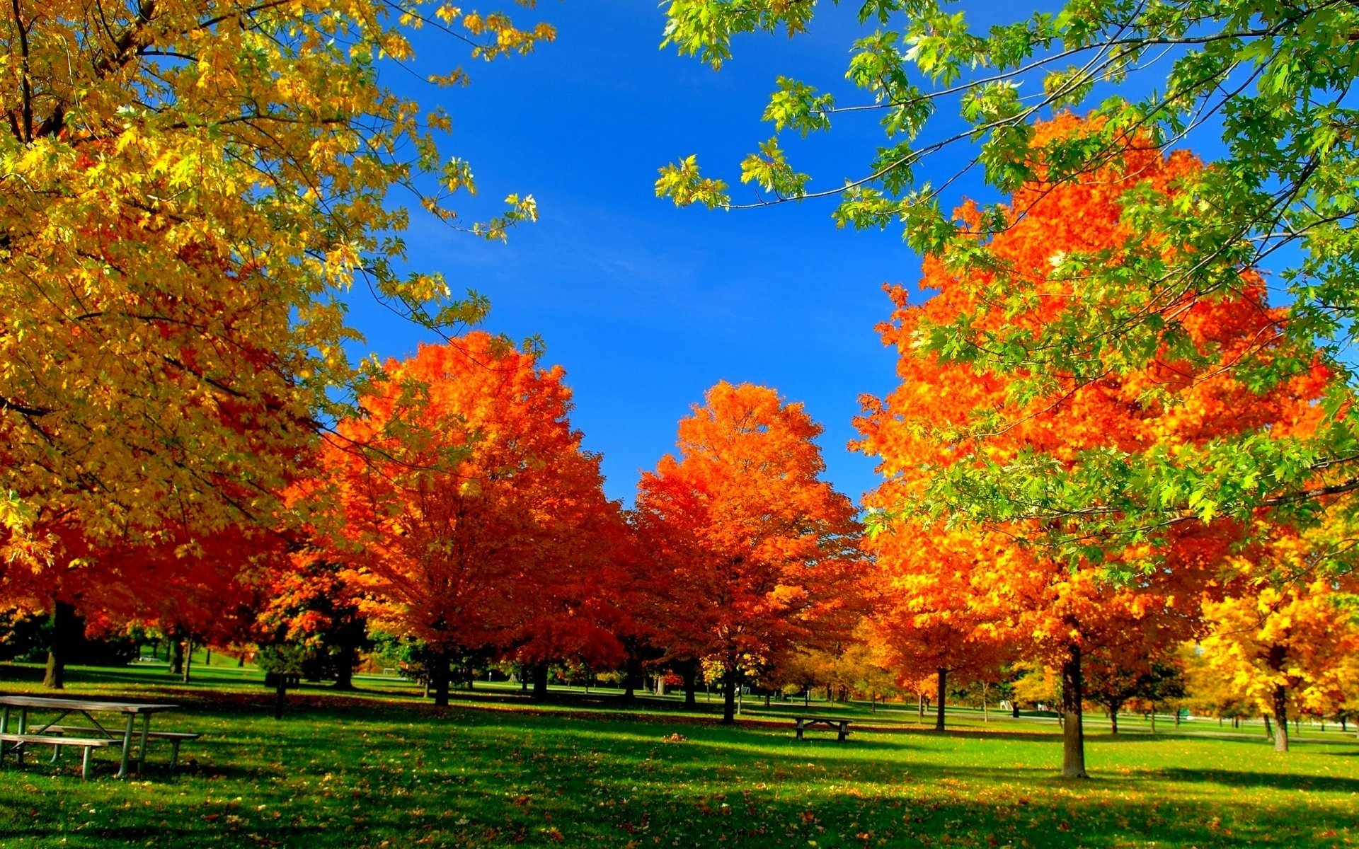 Autumn Serenity Wallpaper