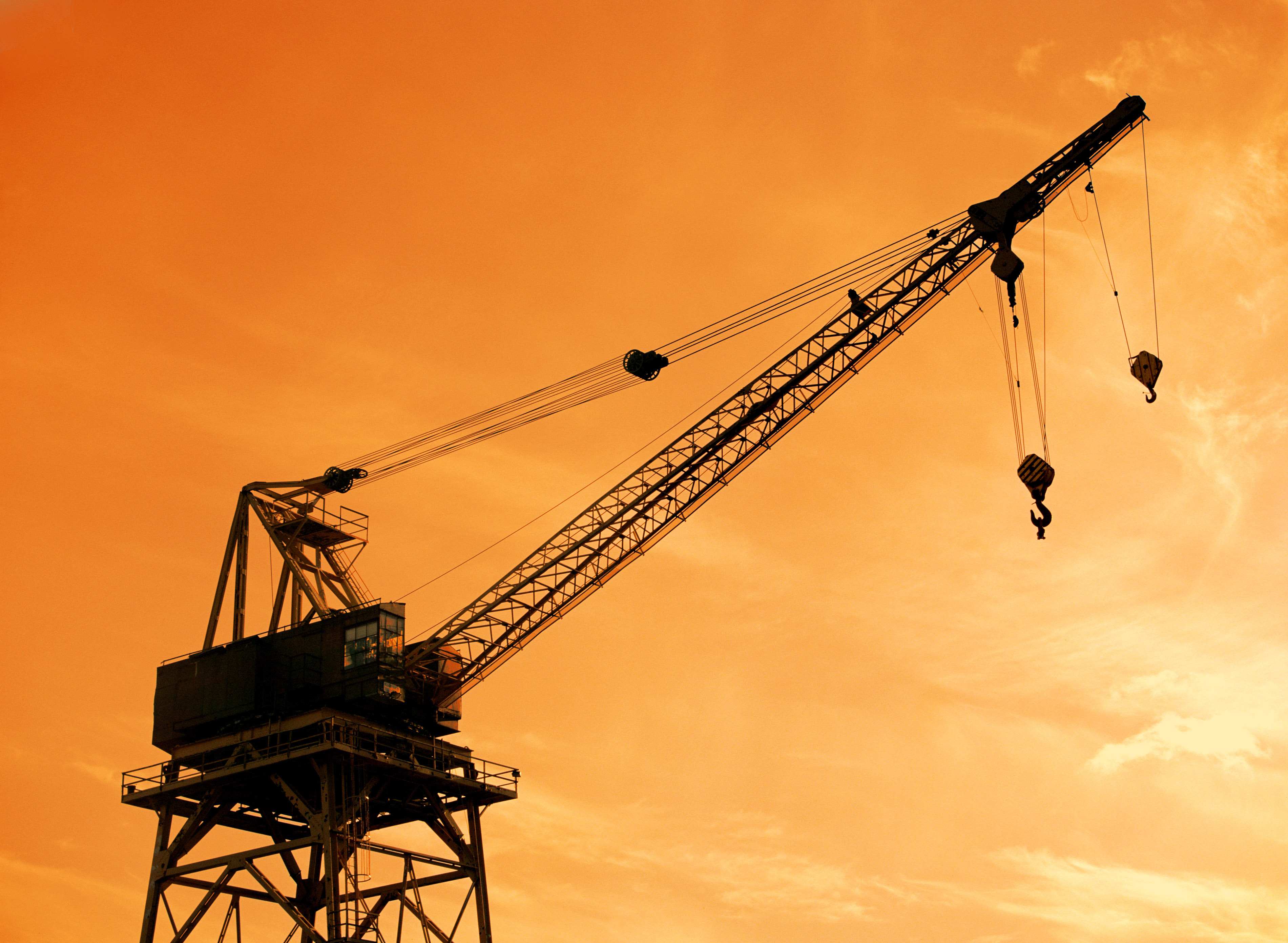 Fantastic Pictures Top Rated Crane Collection