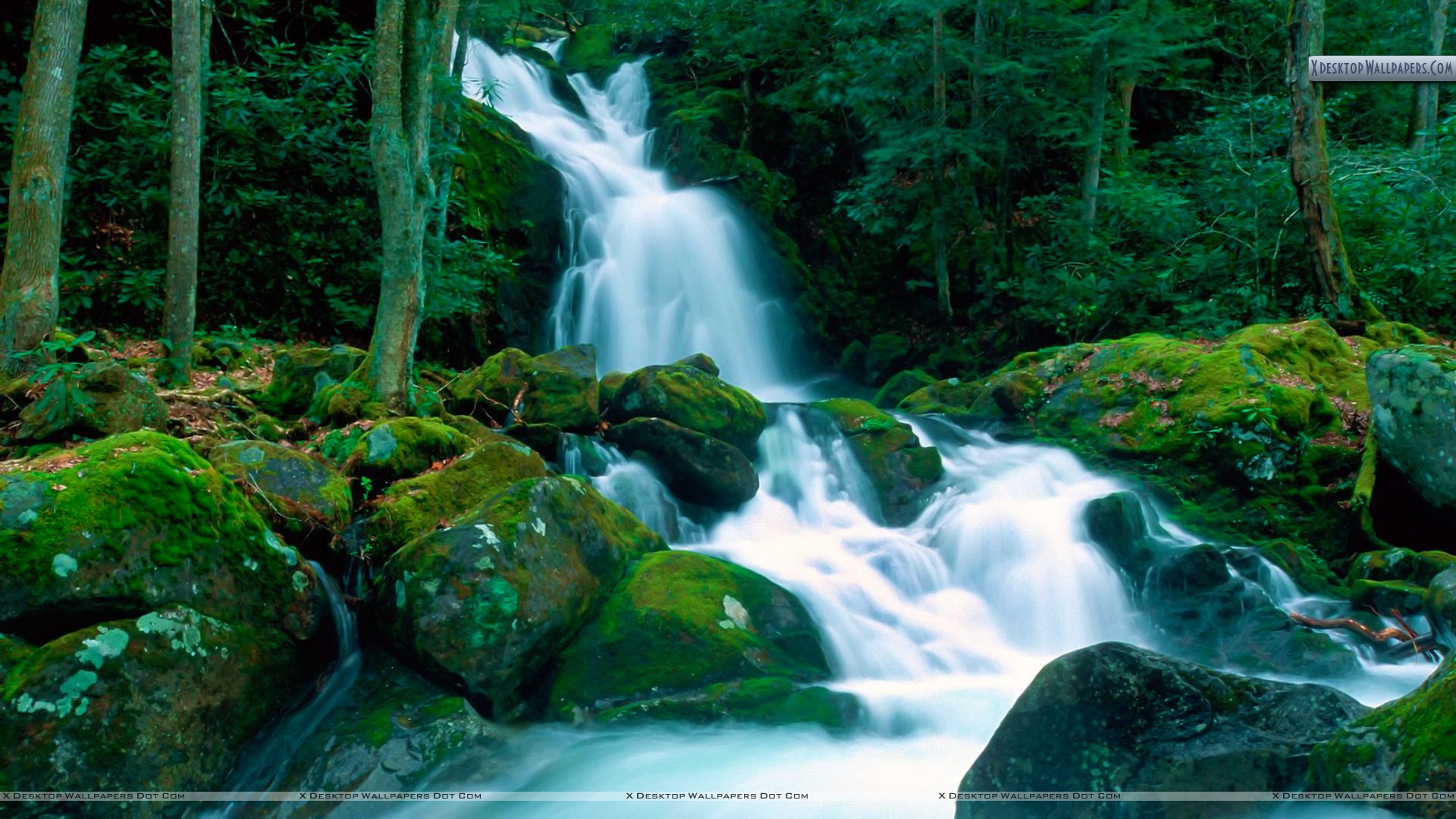 Mouse Creek Falls Great Smoky Mountains North Carolina Wallpaper