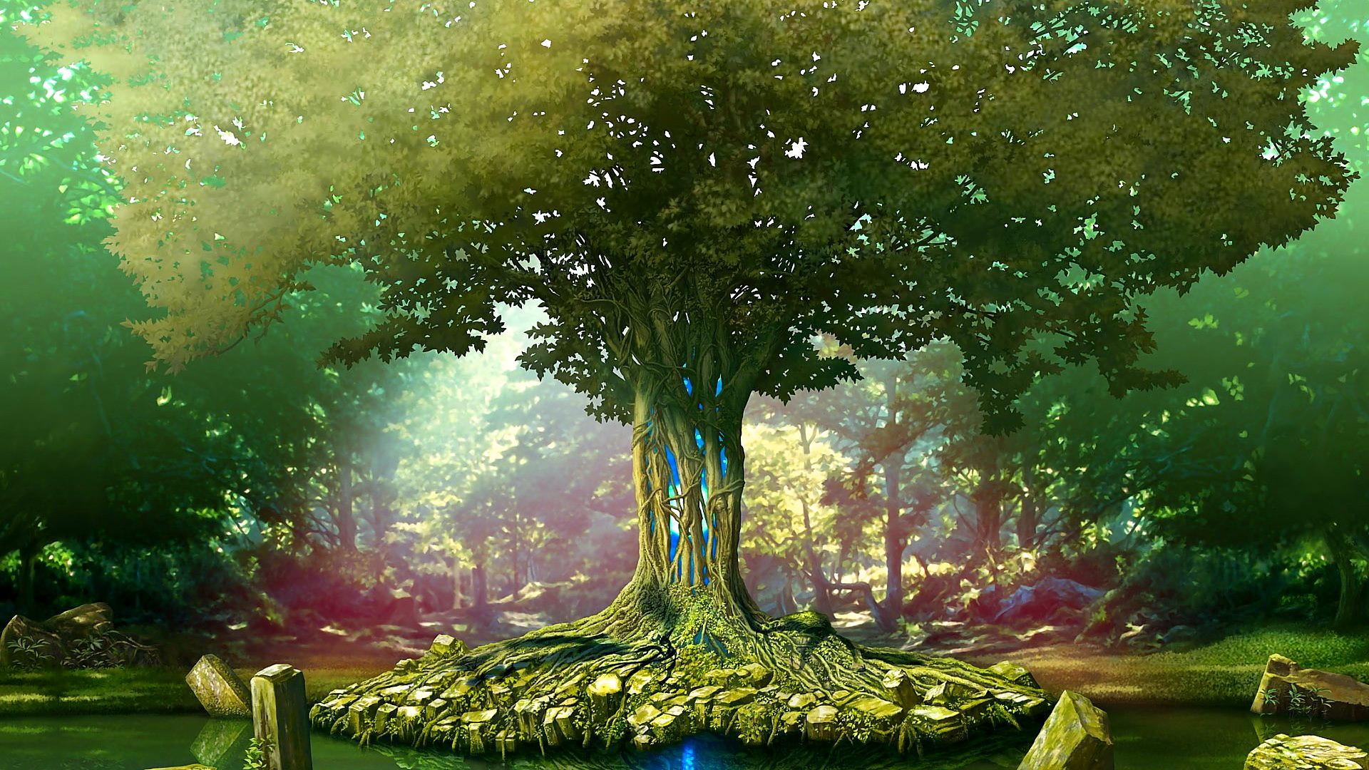 Free Download Tree Of Life Wallpaper Jpg By emilyrobinson Free Download Tree Of Life Wallpaper Jpg By emilyrobinson