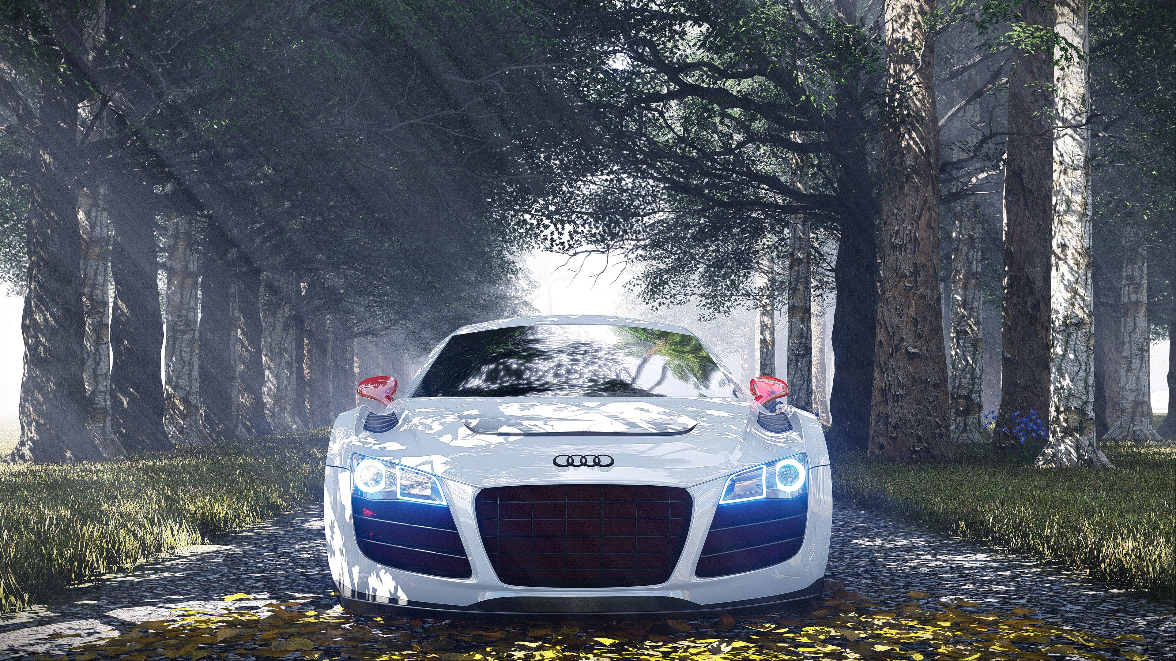 Audi R8 Special Edition 4k HD Wallpaper