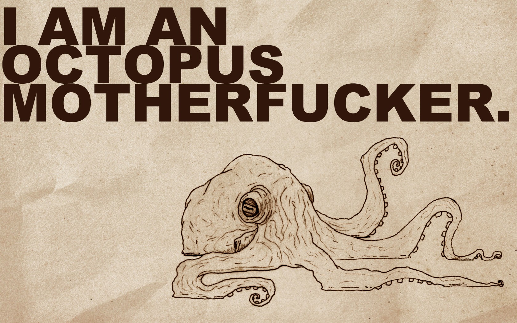 Quotes Funny Octopus Drawings Wallpaper