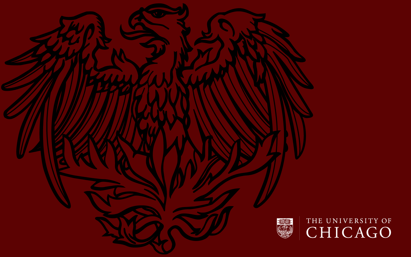 University of Chicago Wallpaper Pictures University of Chicago