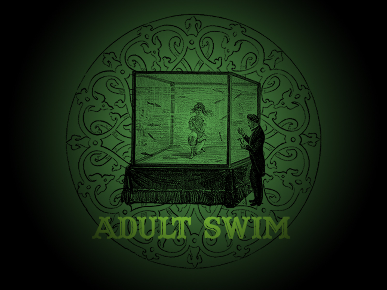 Adult Swim Puter Wallpaper Desktop Background Id