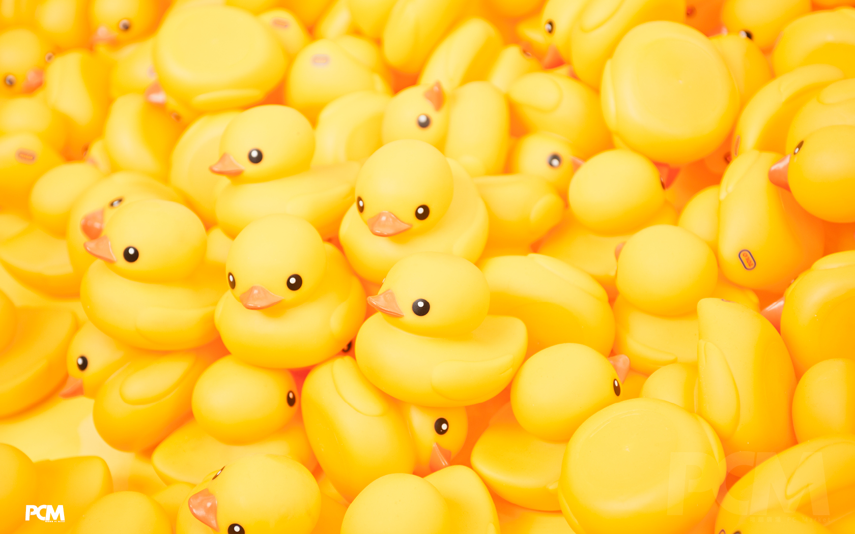 Rubber Duck Wallpaper On