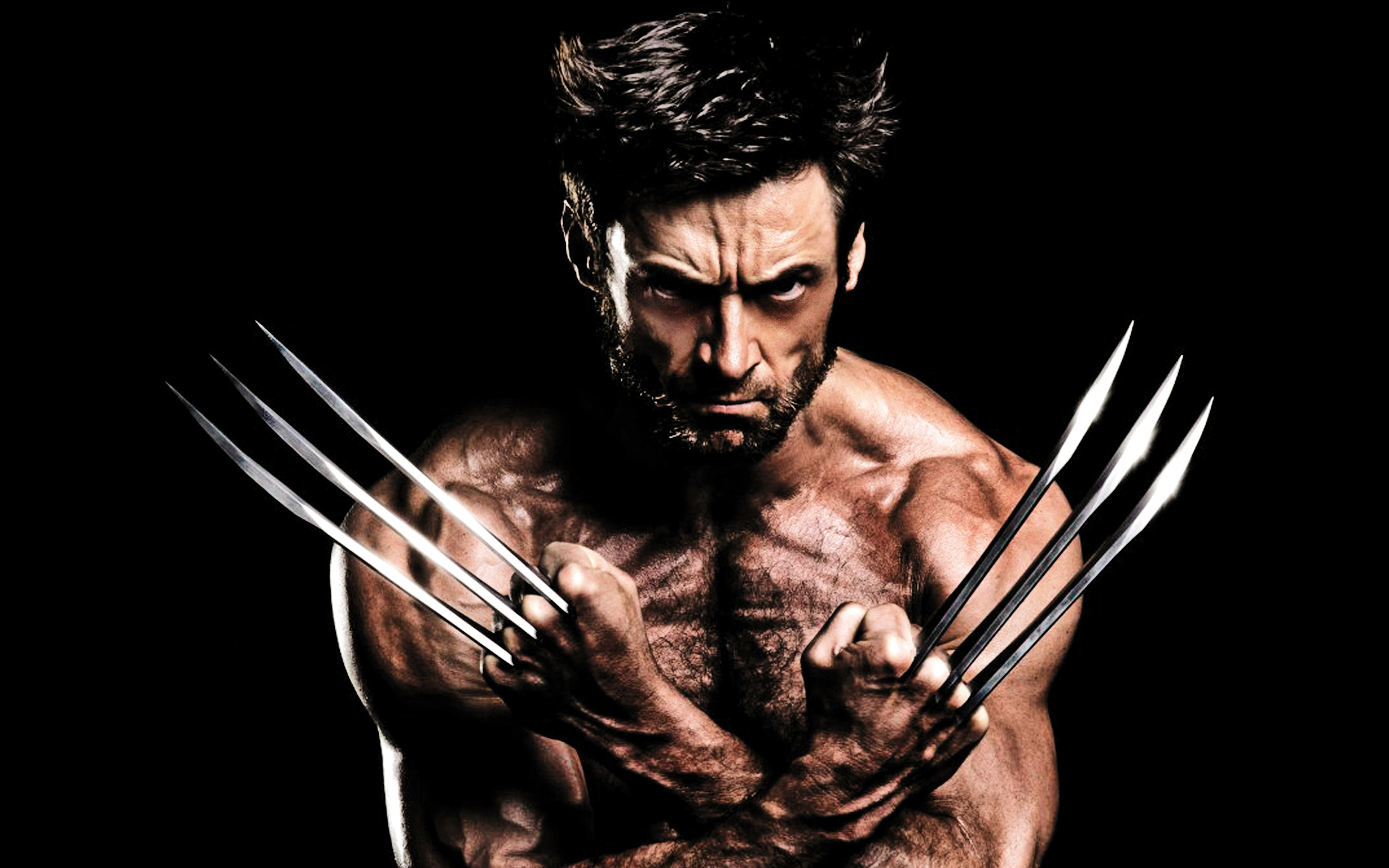 The Wolverine Wallpaper HD