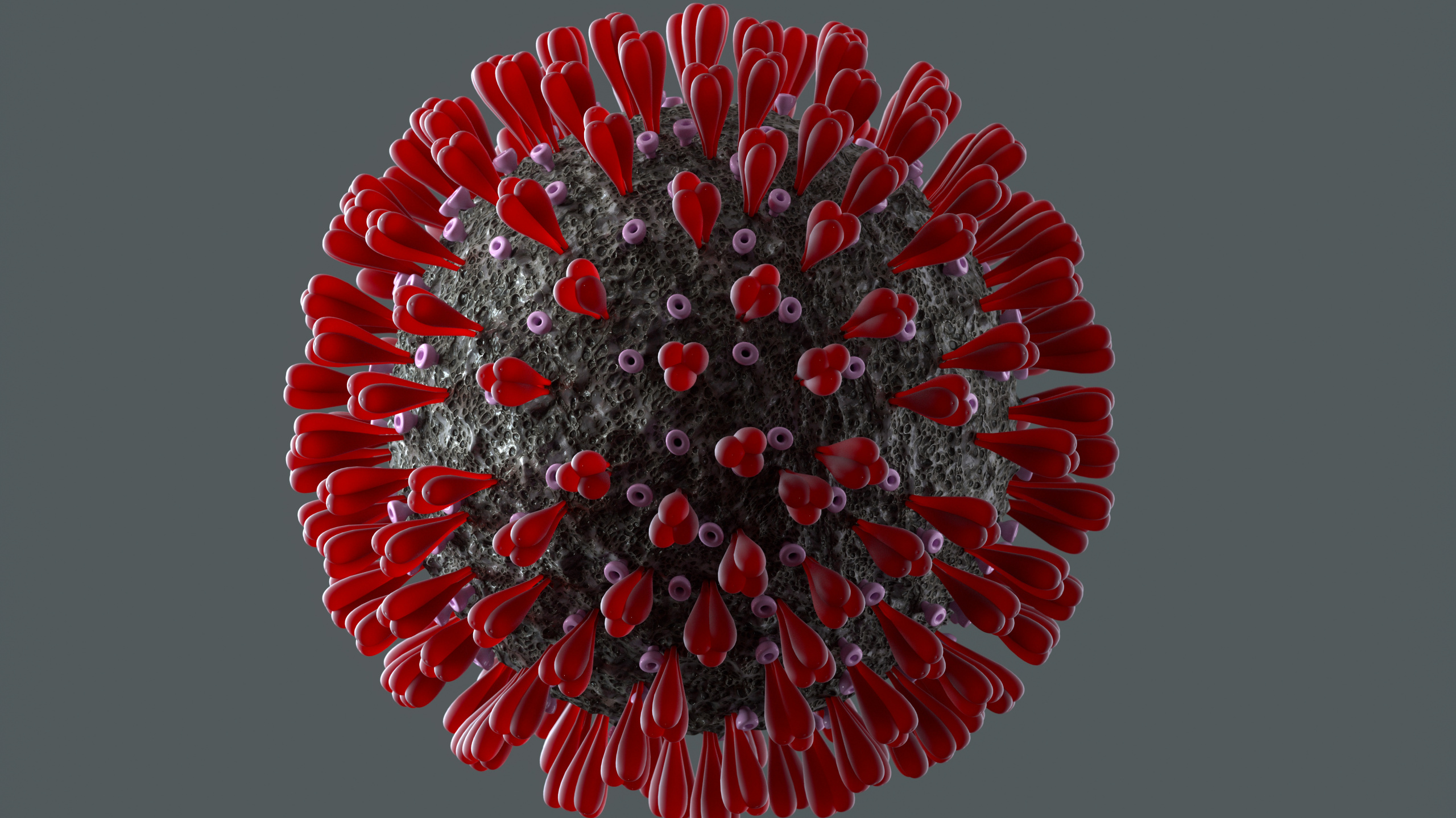 May Coronavirus Updates Cpd Breaks Up Parties Amid Pandemic
