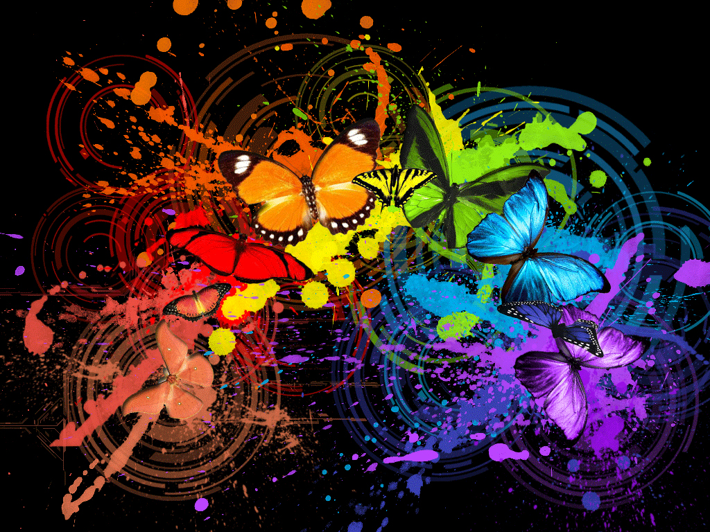 Desktop Butterflies Multicolored Butterfly Wallpaper