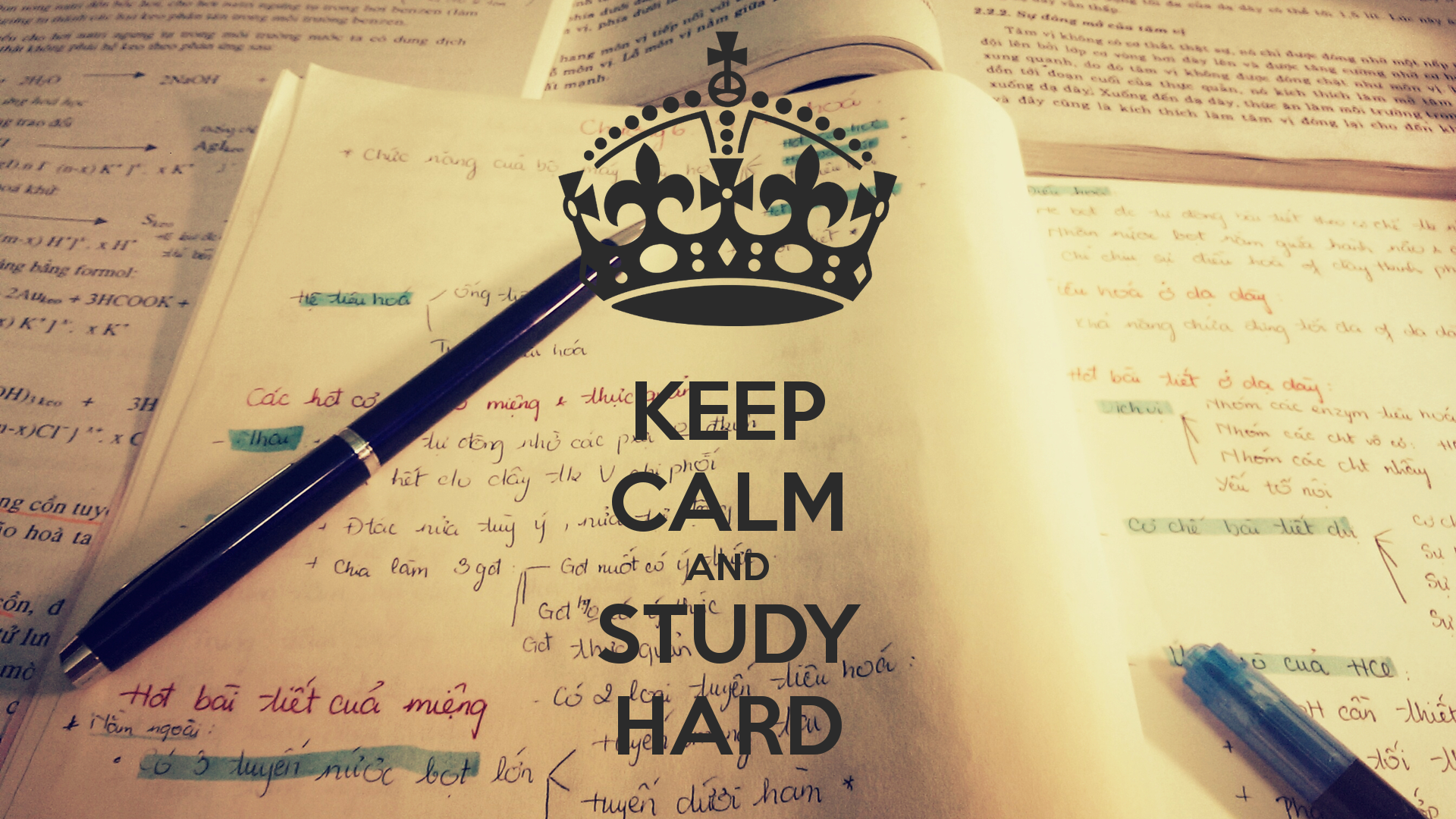 Study Hard Wallpaper Widescreen