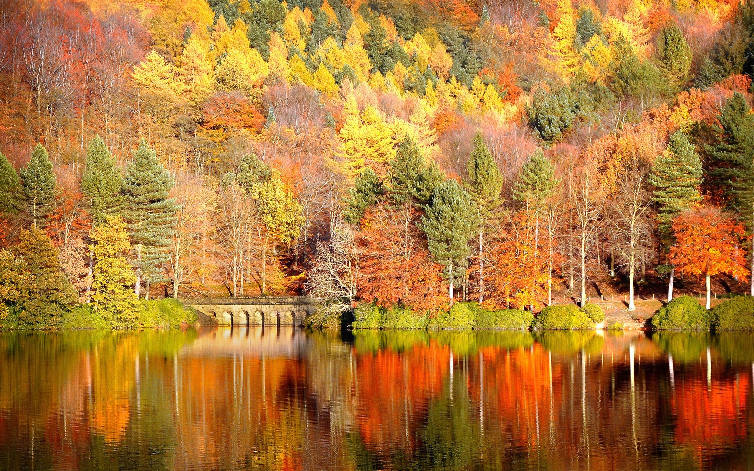 Vivid autumn foliage reflected in a calm lake, with a stone bridge nestled among the trees