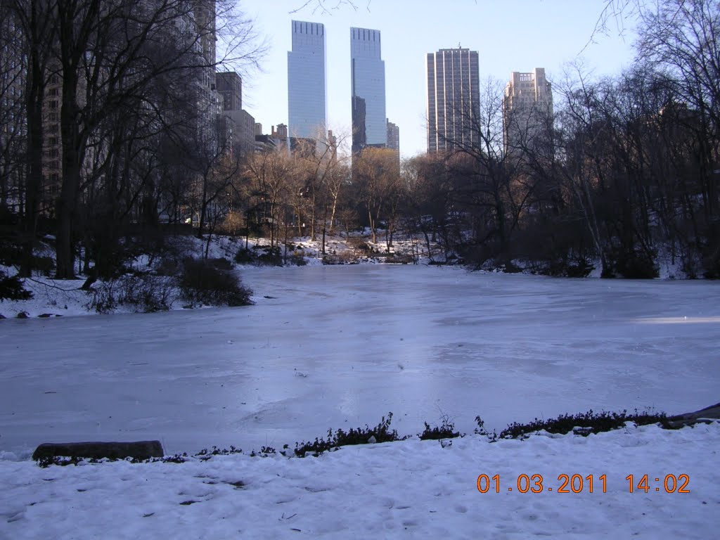 Panoramio Photo Of Frozen Pond Background Time Warner Bldg