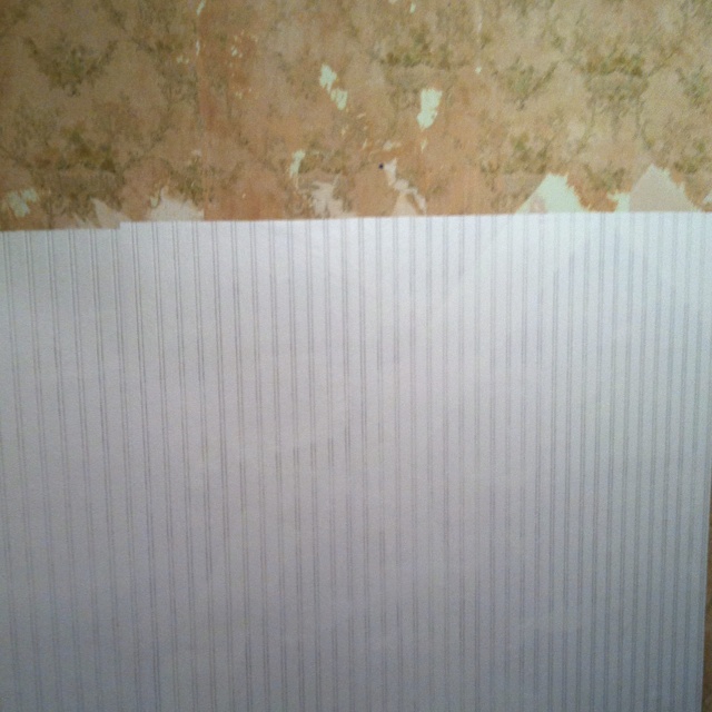 Paintable Wainscoting Wallpaper Want White Kitchen Bath And